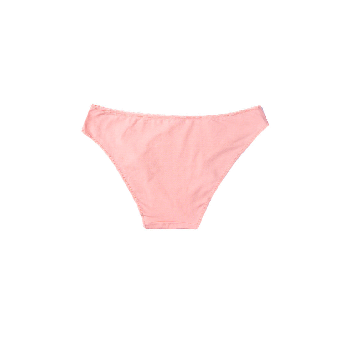 Belleza Lingerie High Cut Panty - 16