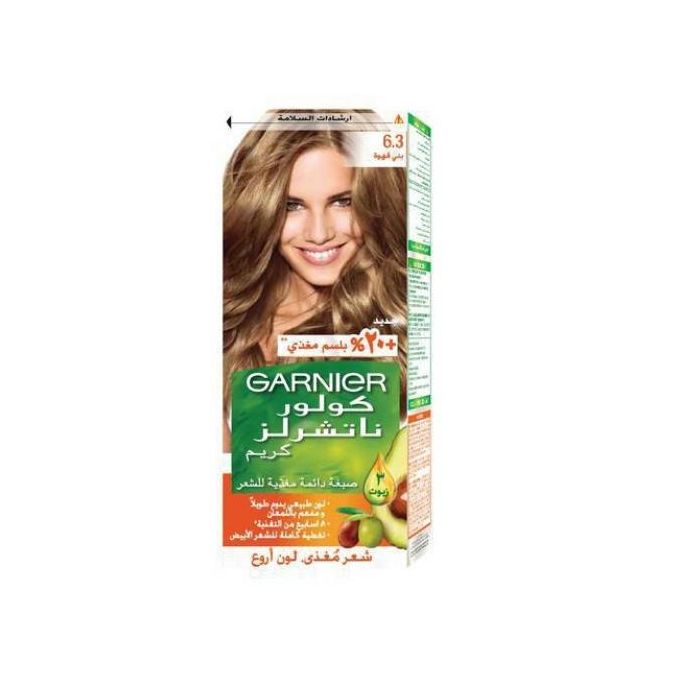 Garnier 6.3 Dark Goldn Blond Hair Color