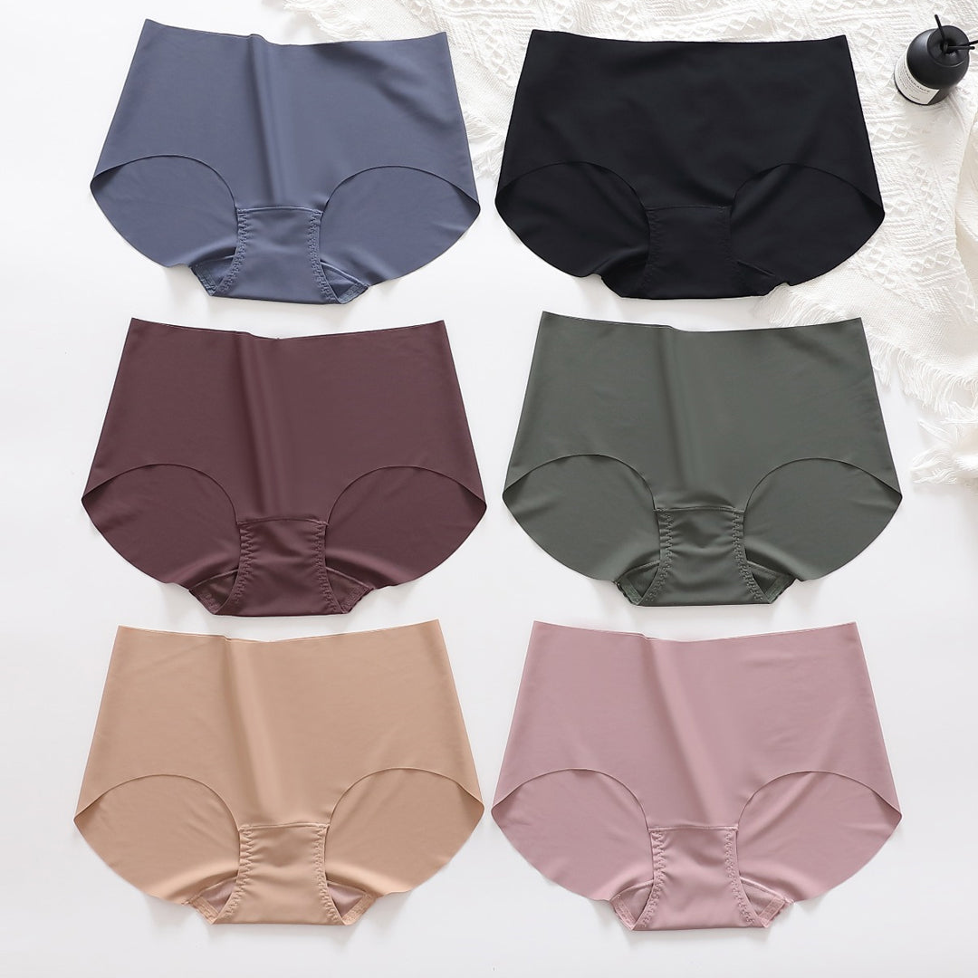 Belleza Lingerie Control Brief Panty - 3322