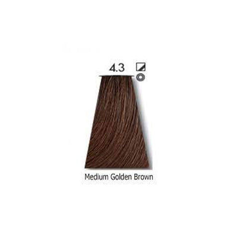 Keune Tinta Hair Color  -  4.3 Medium Golden Brown