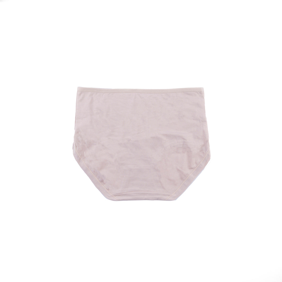 Belleza Lingerie Classic Brief Panty - 5309