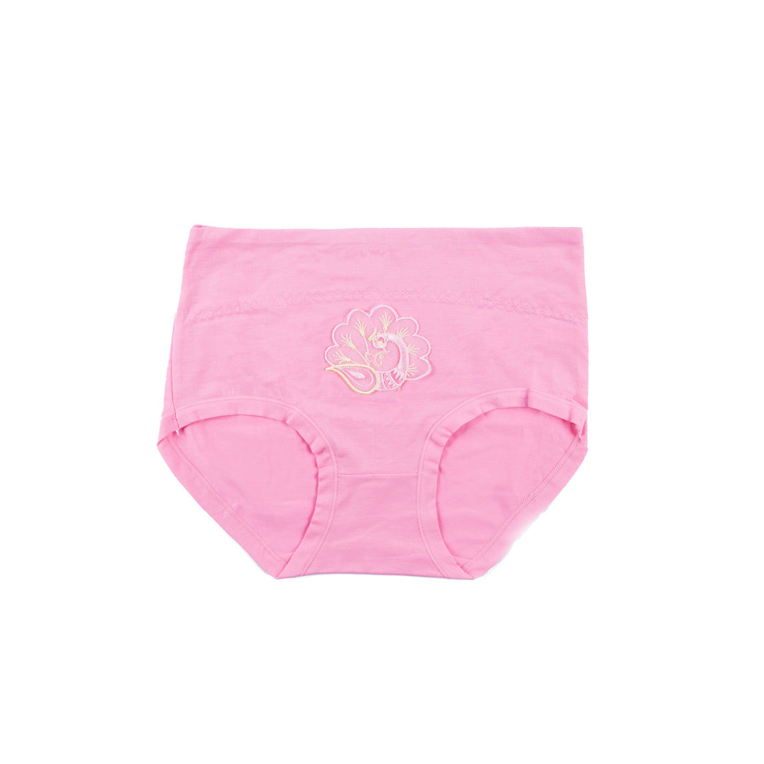 Belleza Lingerie Classic Brief Panty - 5309