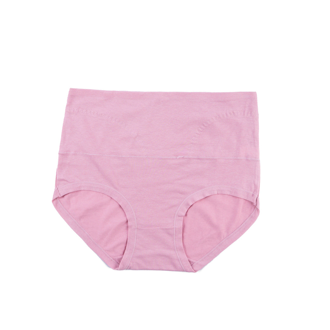 Belleza Lingerie Control Brief Panty - 6501