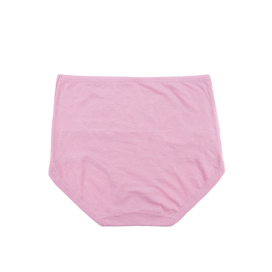 Belleza Lingerie Control Brief Panty - 6501