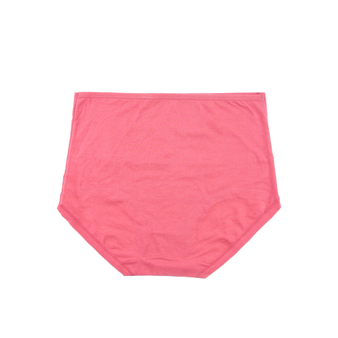 Belleza Lingerie Control Brief Panty - 6501