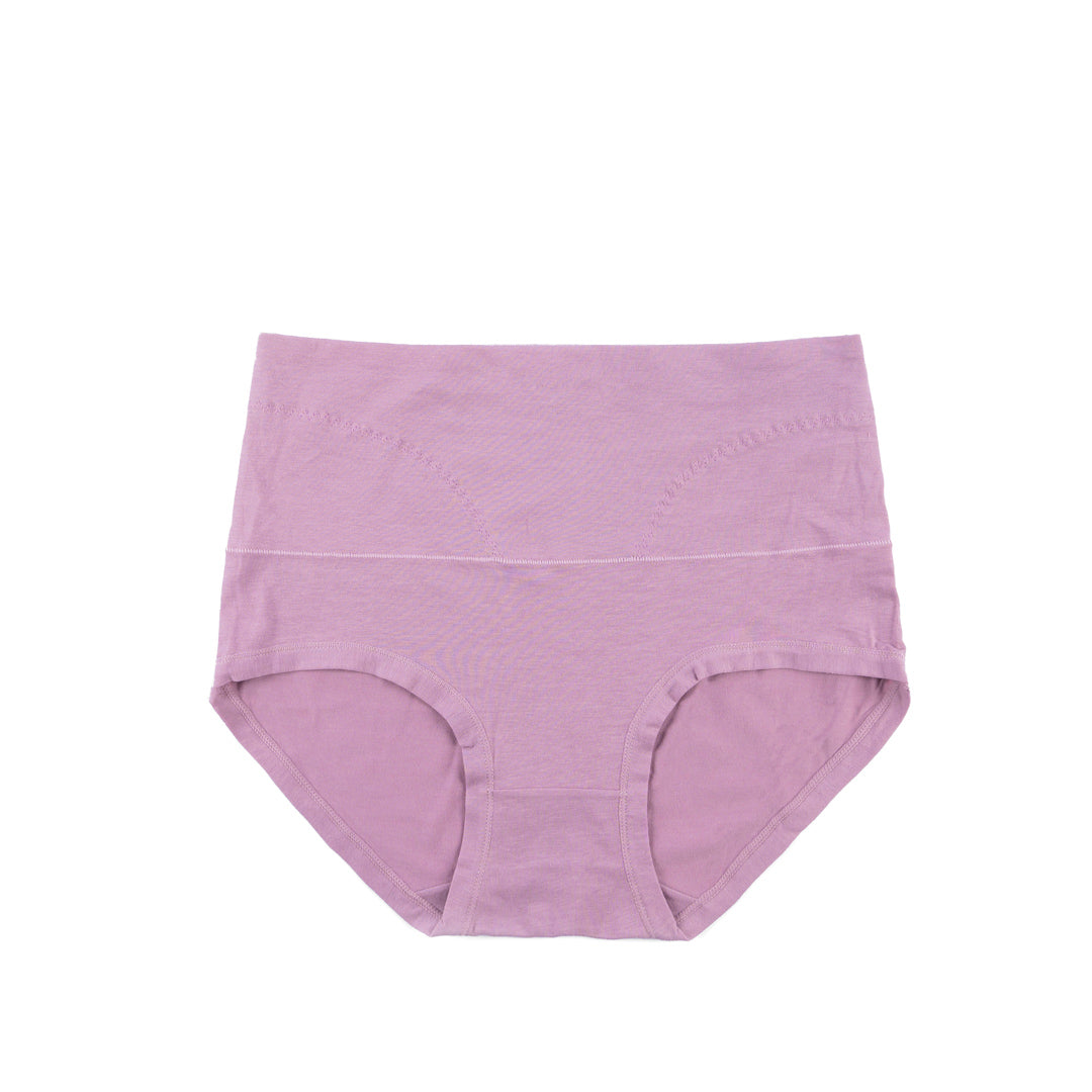 Belleza Lingerie Control Brief Panty - 6501