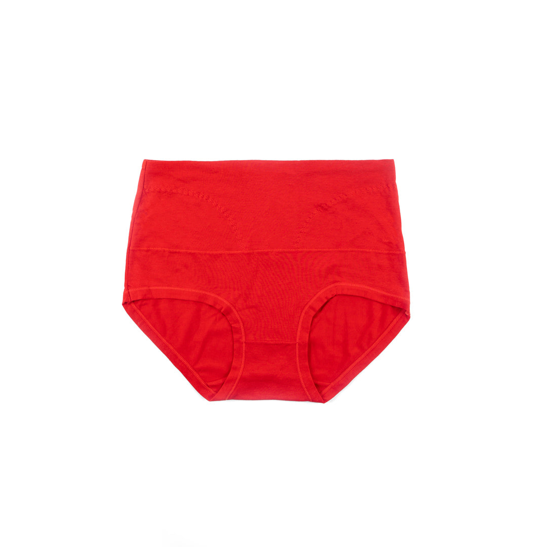 Belleza Lingerie Control Brief Panty - 6501
