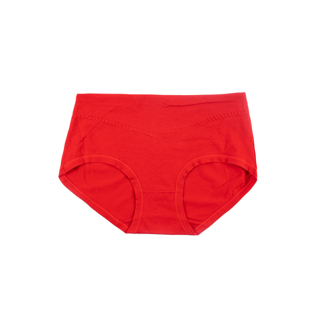 Belleza Lingerie Classic Brief Panty - 6502