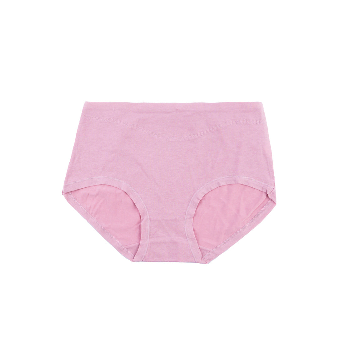 Belleza Lingerie Classic Brief Panty - 6502