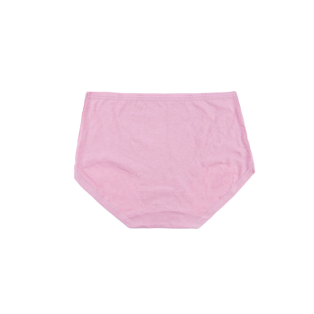 Belleza Lingerie Classic Brief Panty - 6502