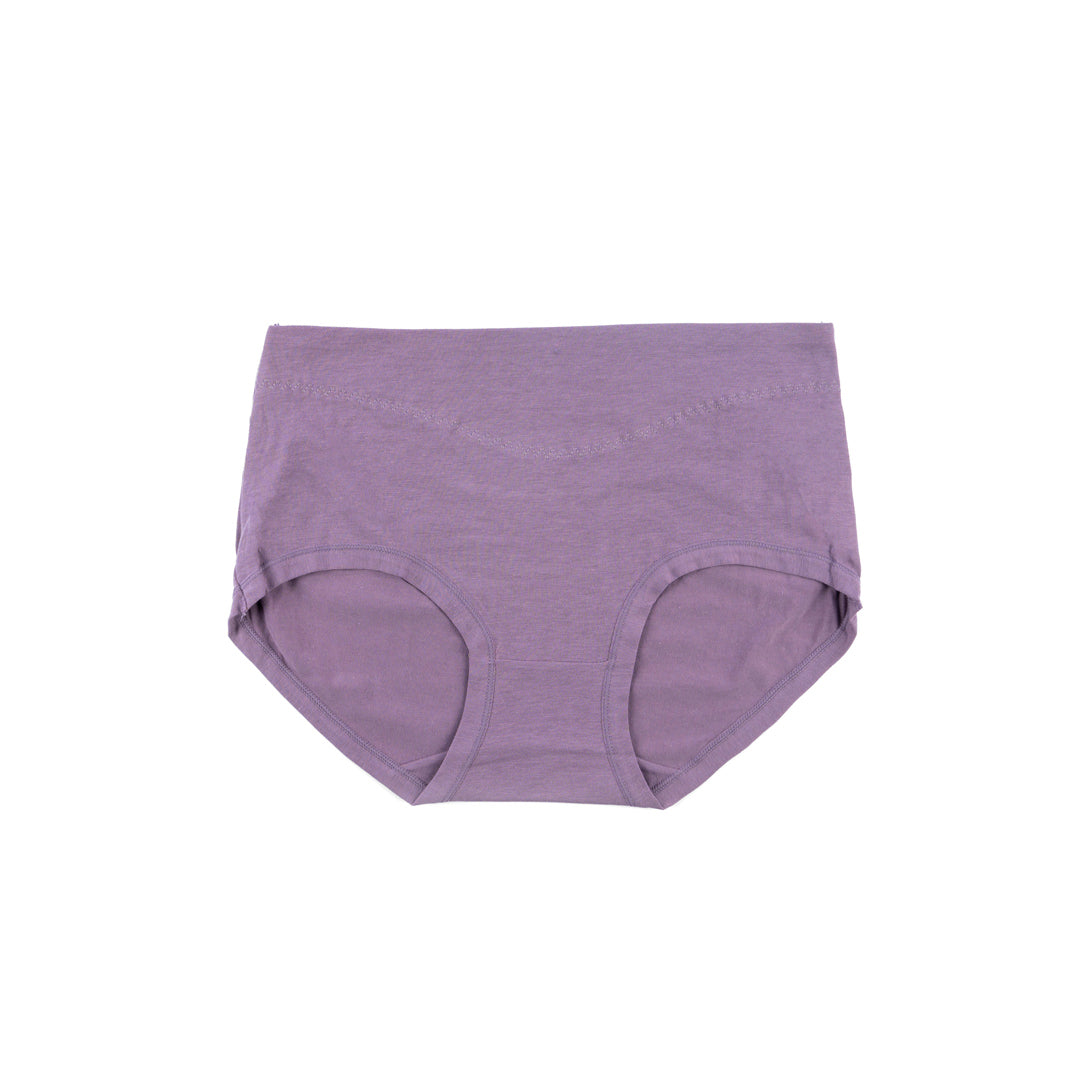 Belleza Lingerie Classic Brief Panty - 6502