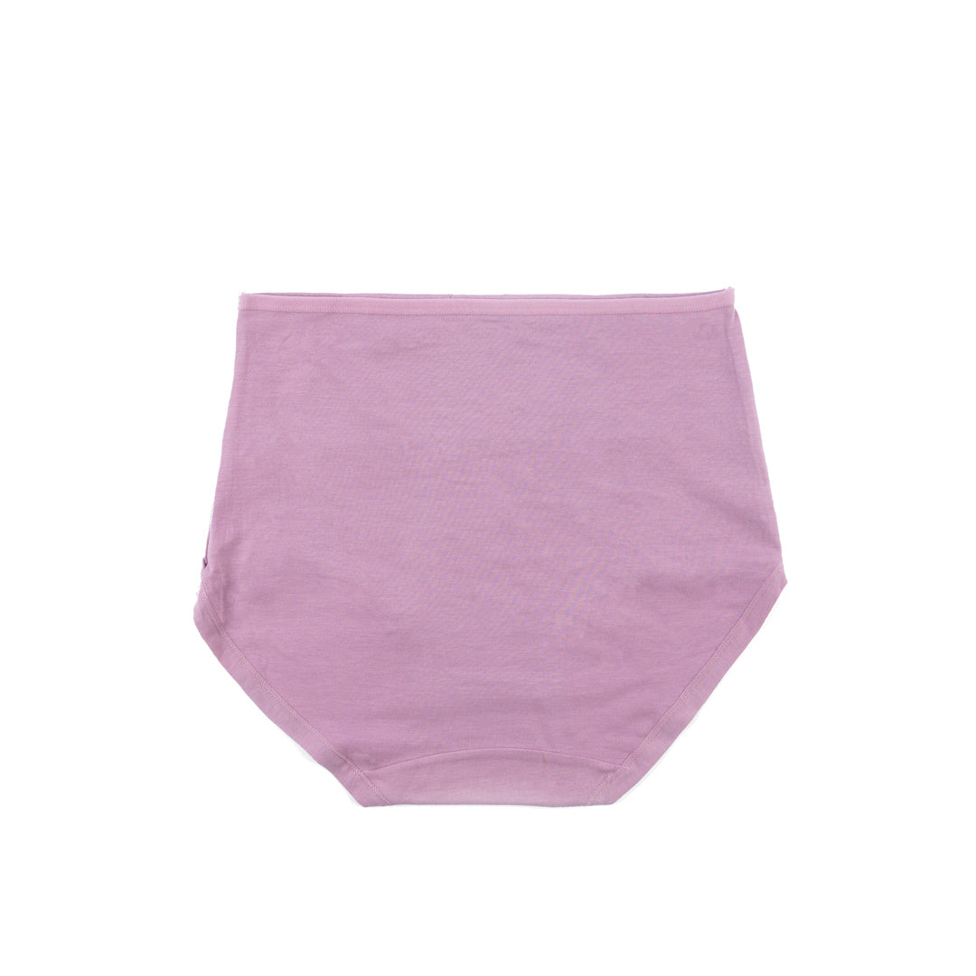 Belleza Lingerie Control Brief Panty - 6509