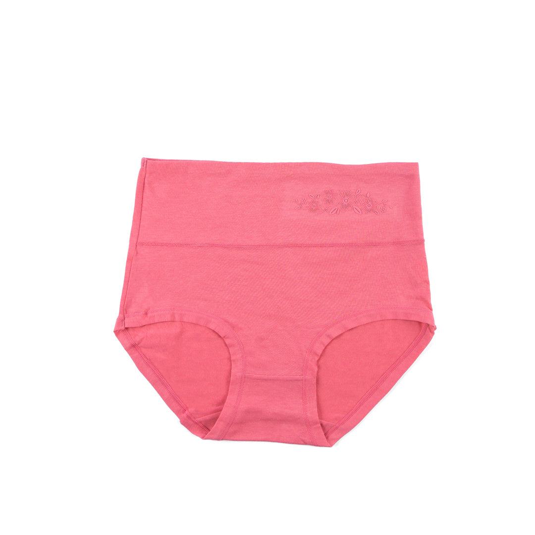 Belleza Lingerie Control Brief Panty - 6509