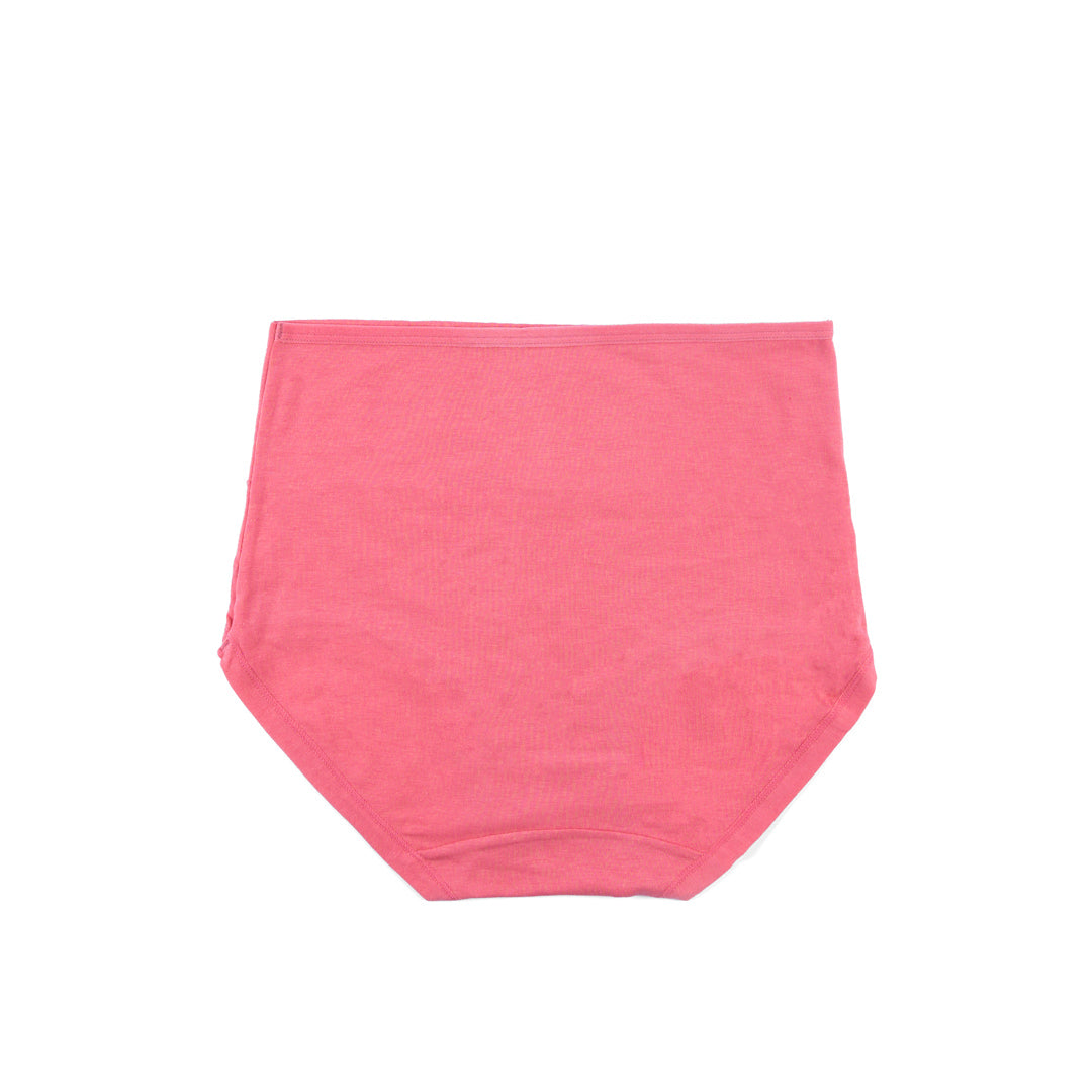 Belleza Lingerie Control Brief Panty - 6509