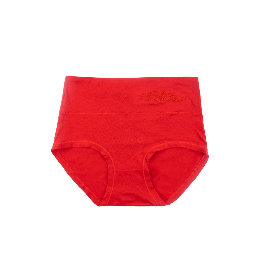 Belleza Lingerie Control Brief Panty - 6509