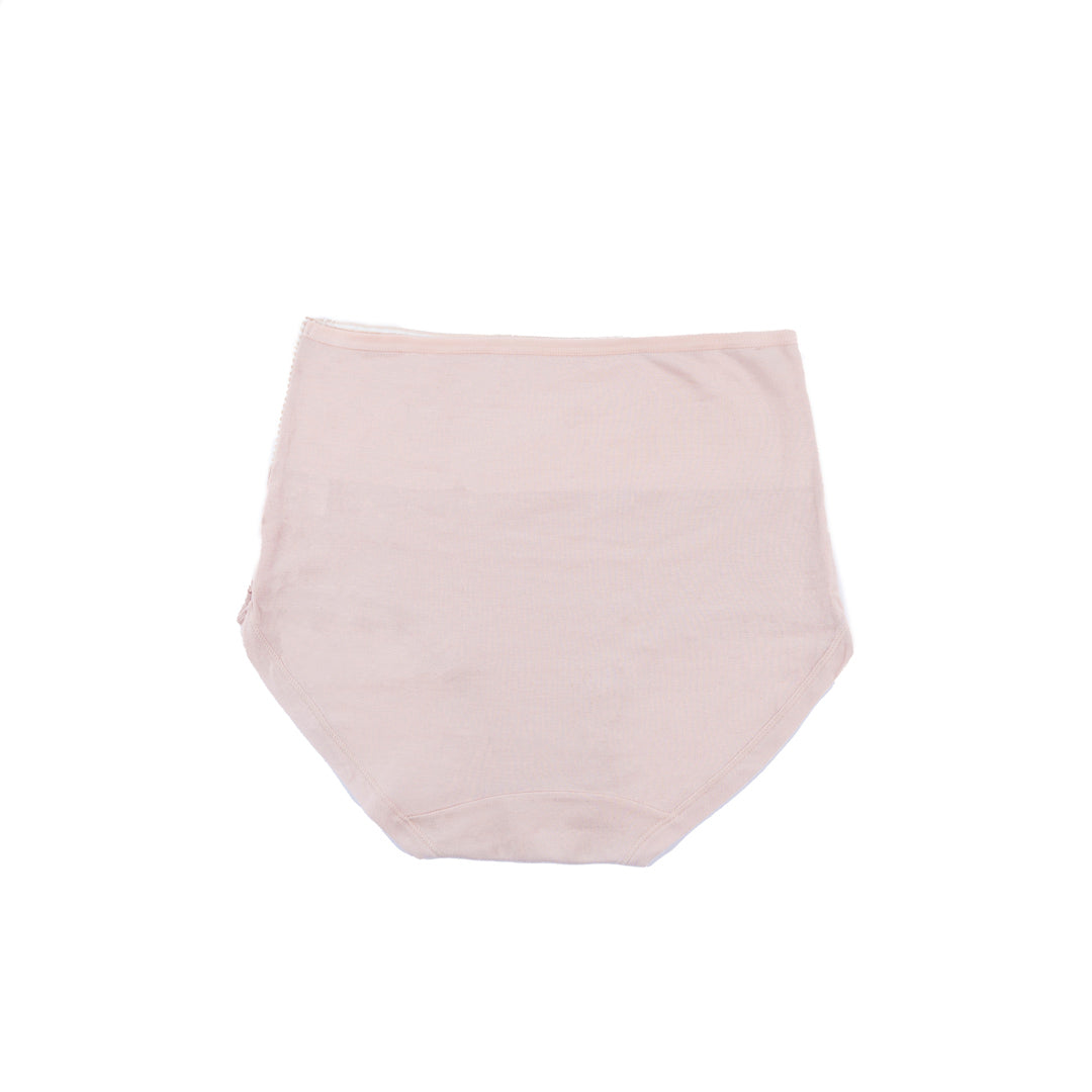 Belleza Lingerie Control Brief Panty - 6510