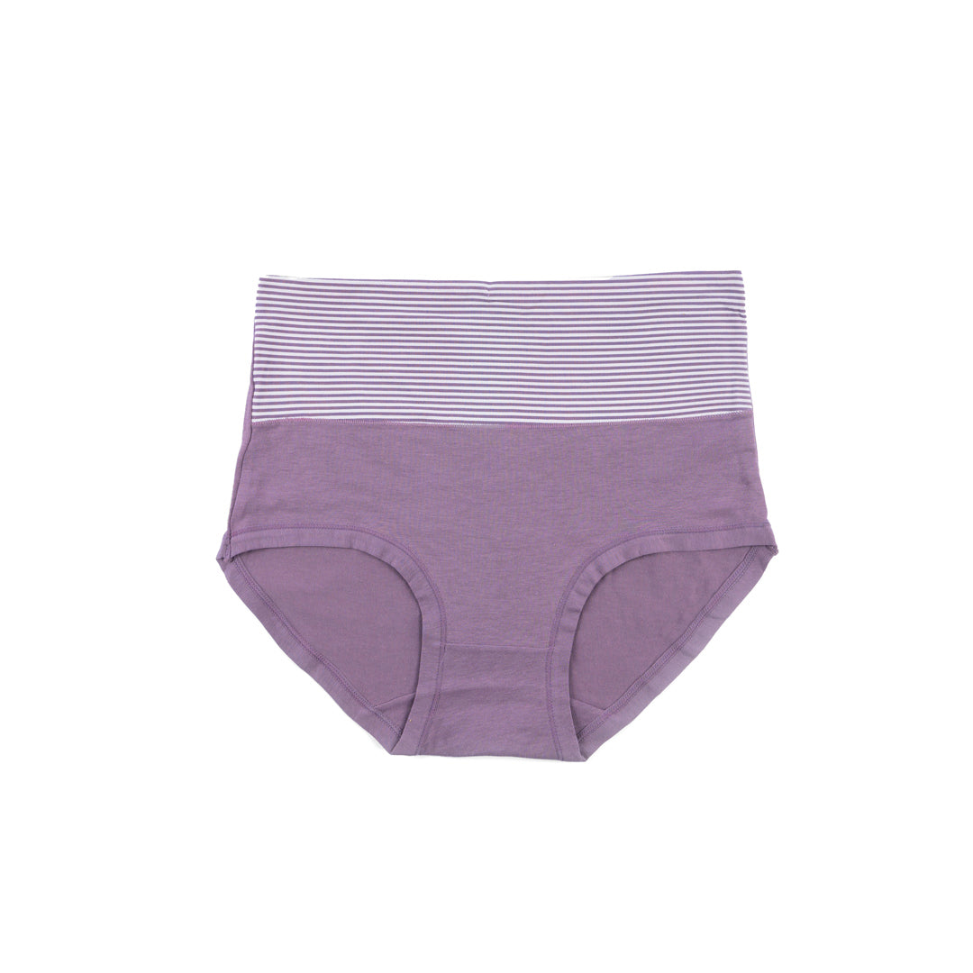 Belleza Lingerie Control Brief Panty - 6510