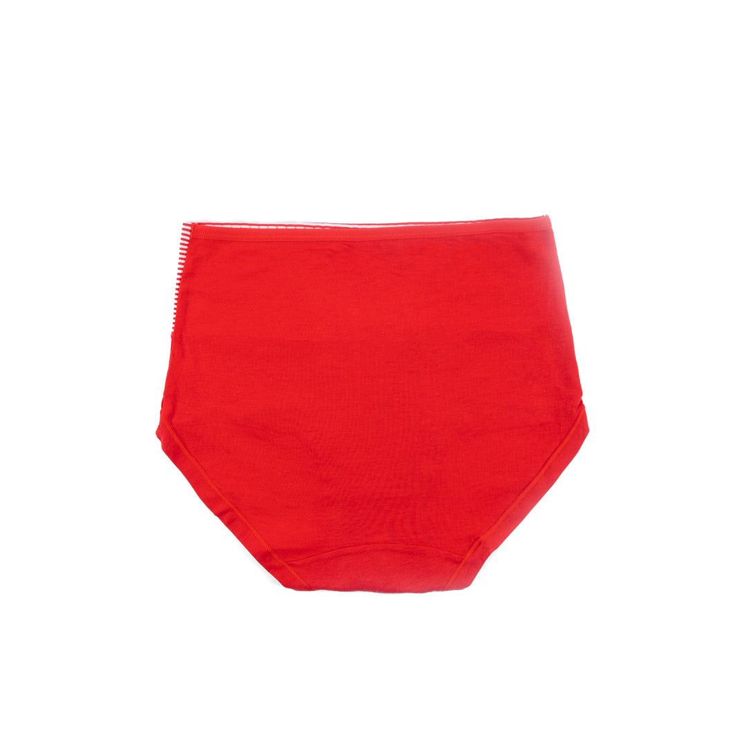 Belleza Lingerie Control Brief Panty - 6510