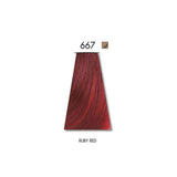 Keune Hair Color 60ml - 667 Ruby Red
