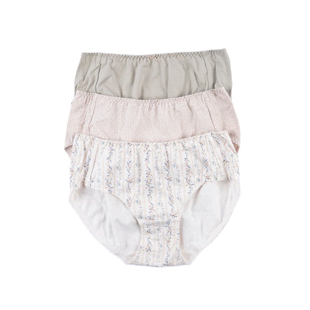 Belleza Lingerie Panty ANDP - 23A11 (Pack Of 3)