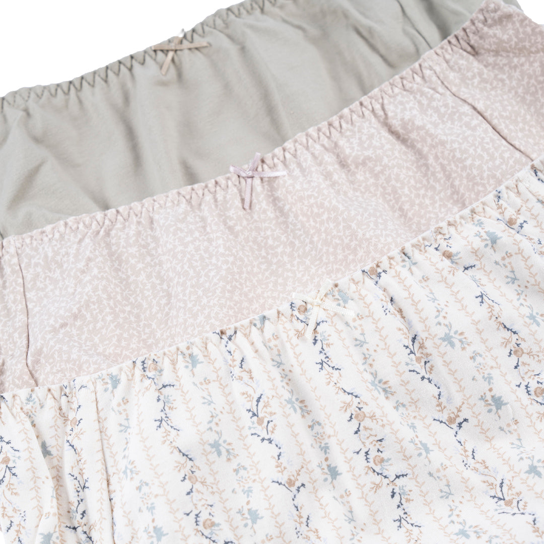 Belleza Lingerie Panty ANDP - 23A11 (Pack Of 3)