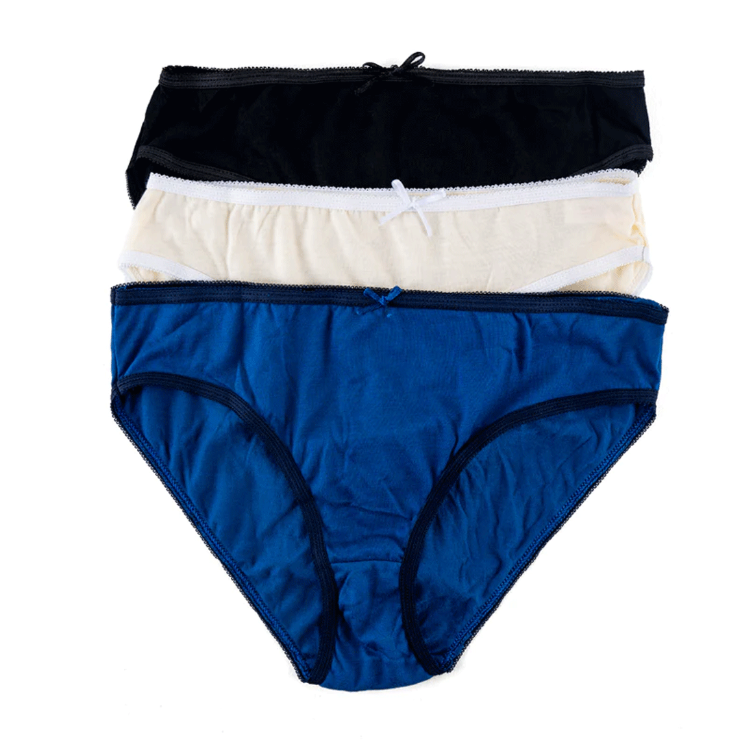 Belleza LingerieHigh Leg Panty Ps-08 (Pack Of 3)