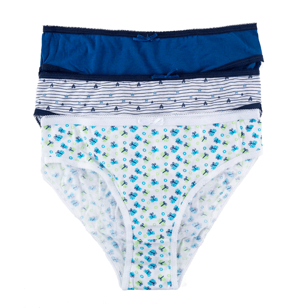 Belleza LingerieHigh Leg Panty Ps-14 (Pack Of 3)