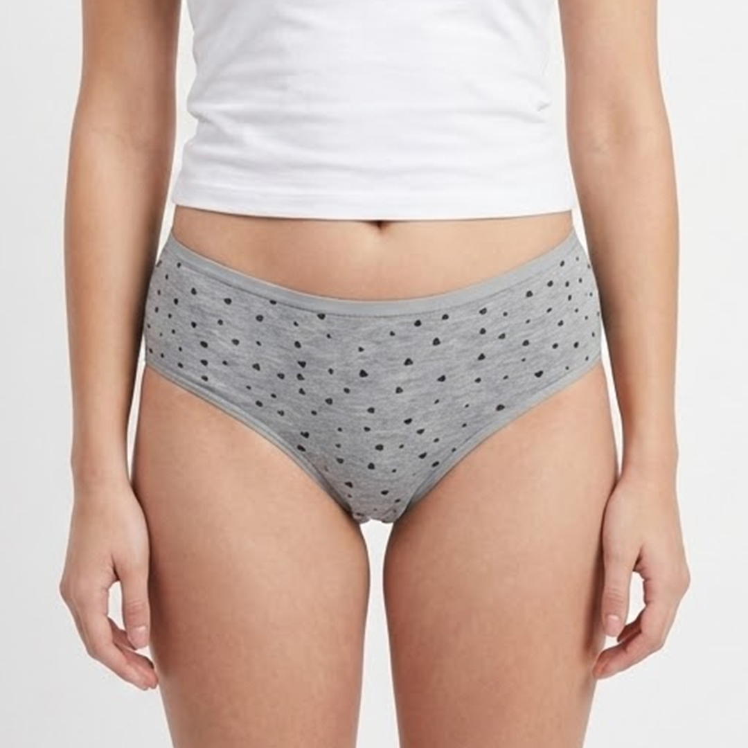 Belleza Lingerie Multi Color Brief Panty Pack Of 6-B221