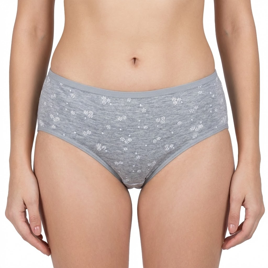 Belleza Lingerie Multi Color Brief Panty Pack Of 6-B227