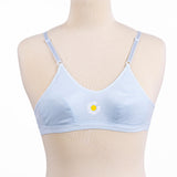 Belleza Lingerie 2 Hook Basic Non Wire Bra - 1016