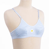 Belleza Lingerie 2 Hook Basic Non Wire Bra - 1016