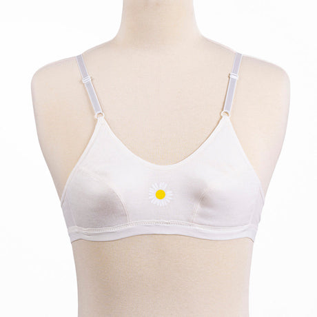 Belleza Lingerie 2 Hook Basic Non Wire Bra - 1016