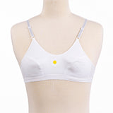 Belleza Lingerie 2 Hook Basic Non Wire Bra - 1016
