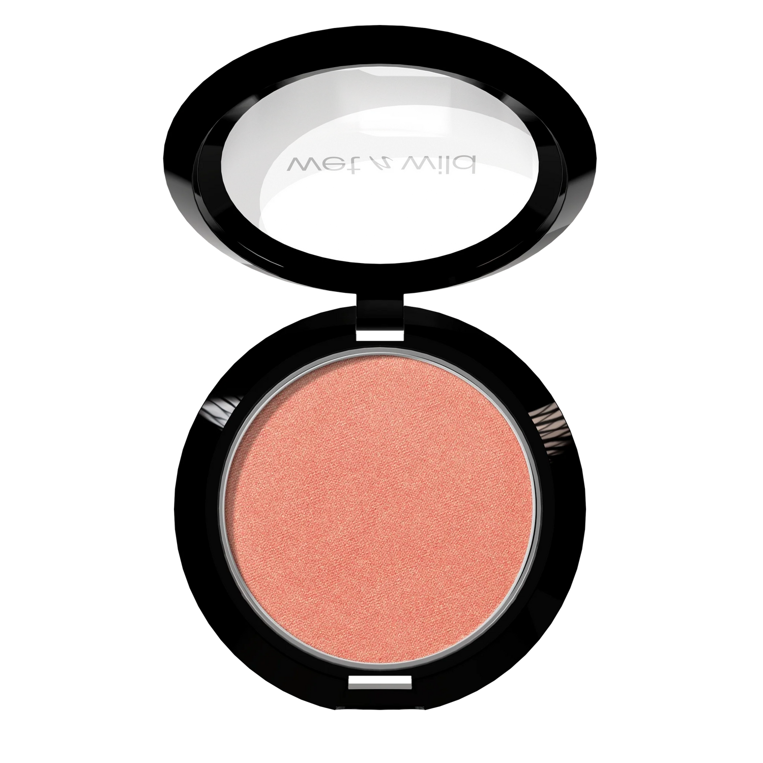 WNW COLOR ICON BRUSH