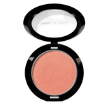 WNW COLOR ICON BRUSH