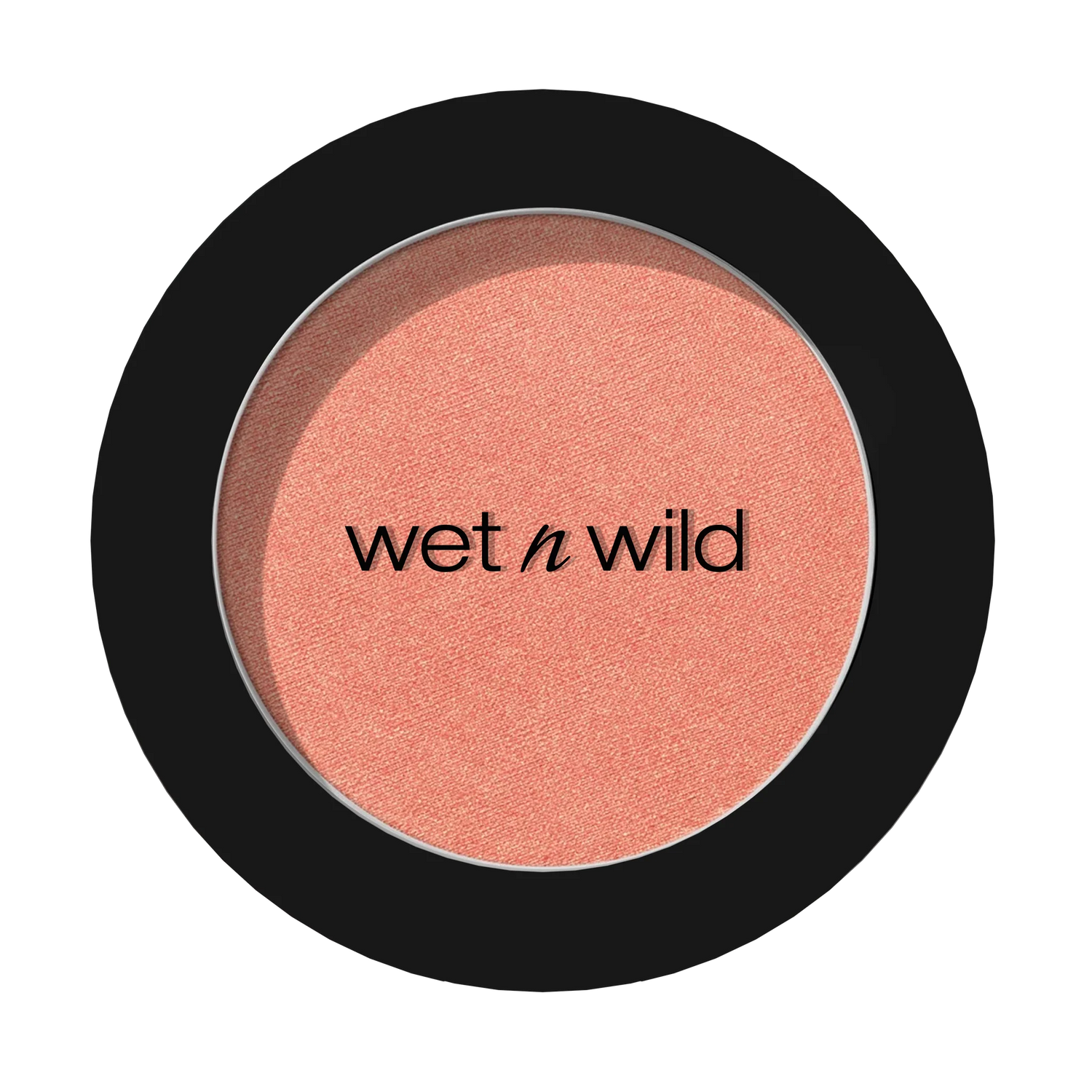 WNW COLOR ICON BRUSH