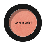 WNW COLOR ICON BRUSH