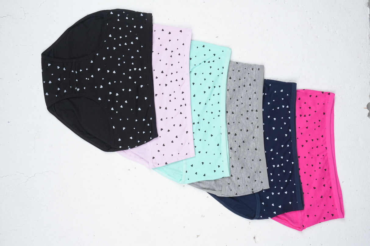 Belleza Lingerie multi Color Brief Panty Pack Of 6-B221