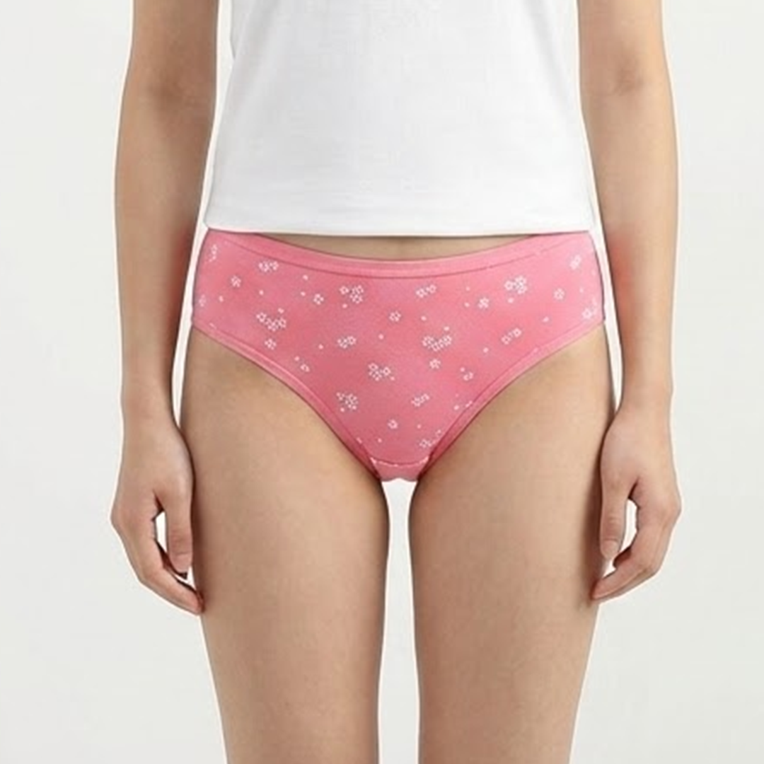 Belleza Lingerie multi Color Brief Panty Pack Of 6-B227