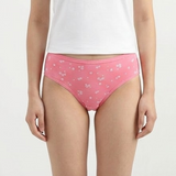 Belleza Lingerie Multi Color Brief Panty Pack Of 6-B227