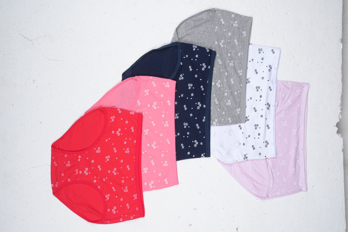 Belleza Lingerie multi Color Brief Panty Pack Of 6-B227