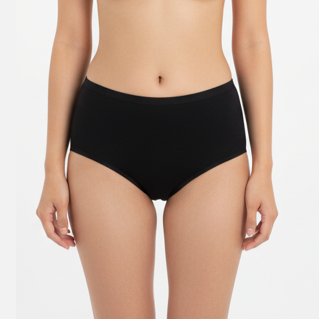 Belleza Lingerie multi Color Brief Panty Pack Of 6-B237