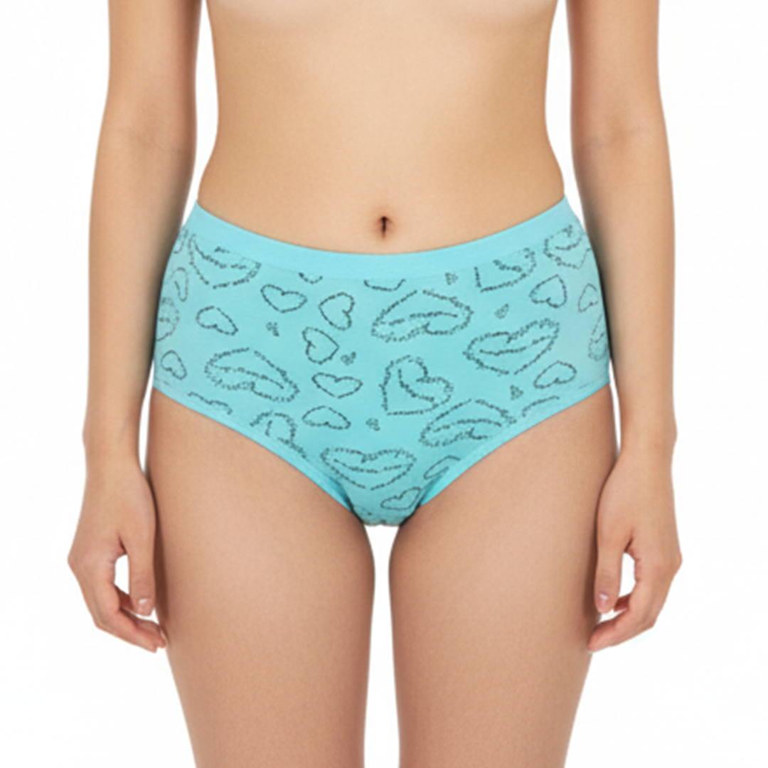 Belleza Lingerie Multi Color Brief Panty Pack Of 6-B240