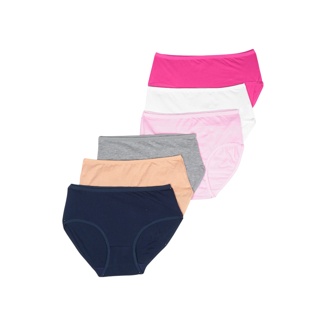 Belleza Lingerie Multi Color Brief Panty Pack Of 6-B241