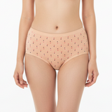 Belleza Lingerie multi Color Brief Panty Pack Of 3-B246