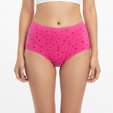 Belleza Lingerie multi Color Brief Panty Pack Of 3-B247