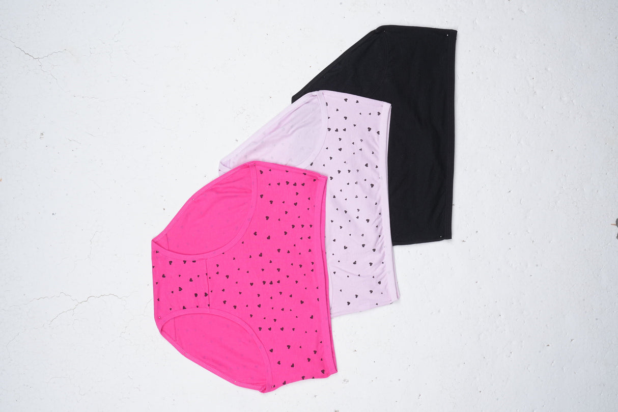 Belleza Lingerie Multi Color Brief Panty Pack Of 3-B247