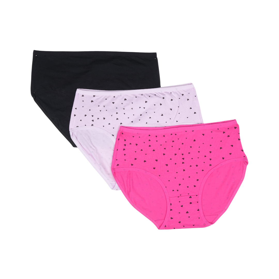 Belleza Lingerie Multi Color Brief Panty Pack Of 3-B247
