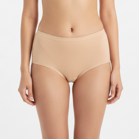 Belleza Lingerie Multi Color Brief Panty Pack Of 3-B253