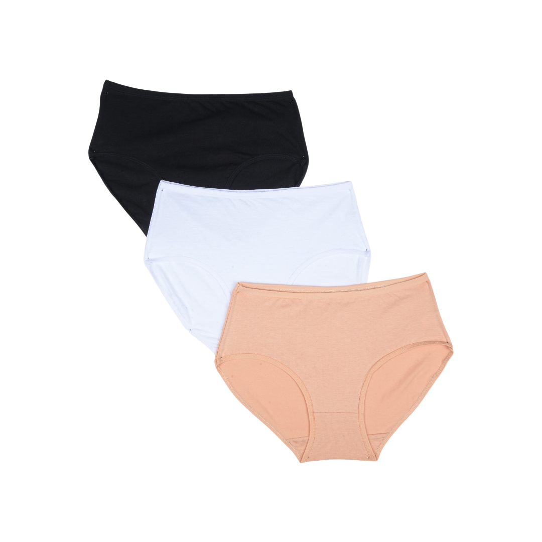 Belleza Lingerie Multi Color Brief Panty Pack Of 3-B253